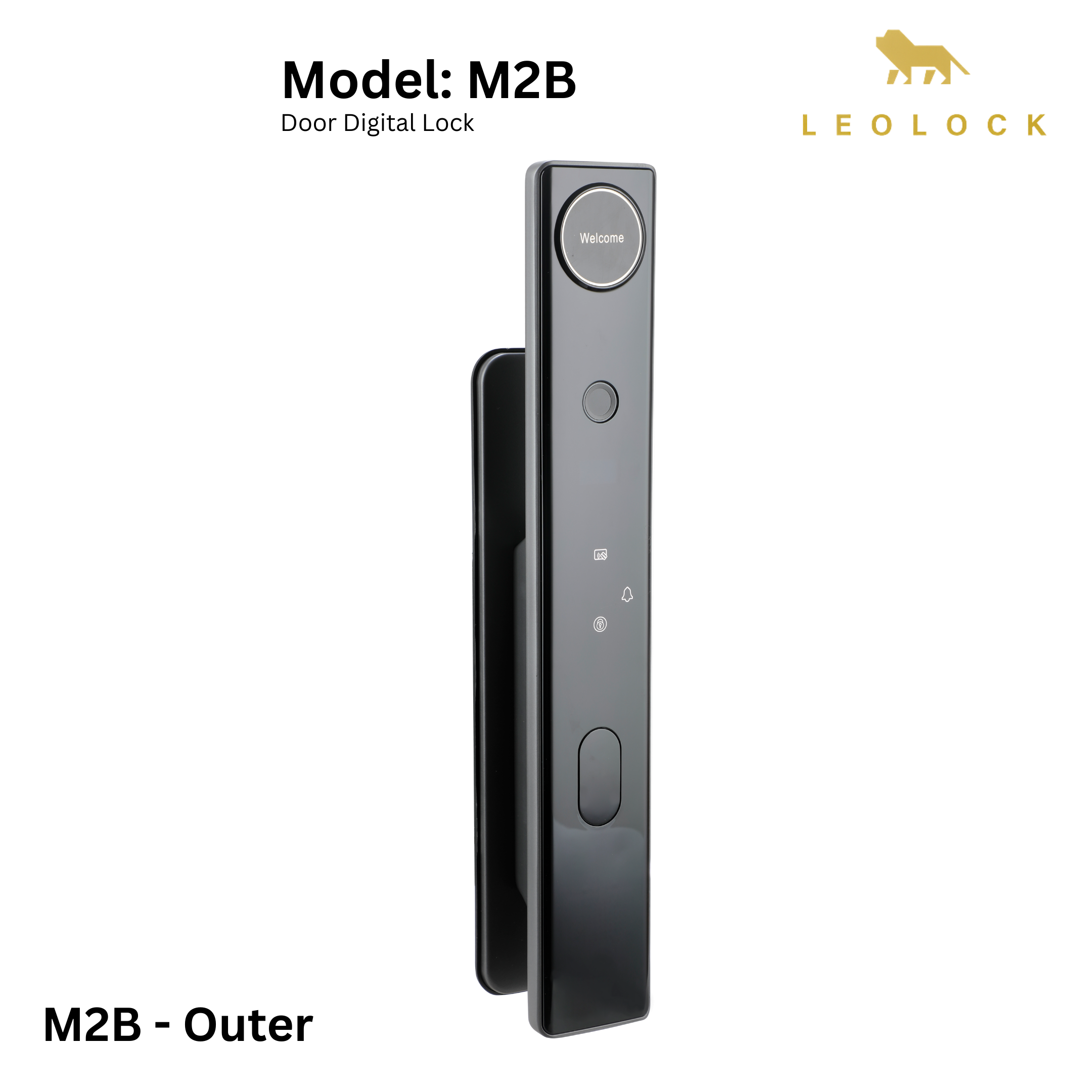 MEGA COMBO - M2B Door Lock  + 12D Gate Lock